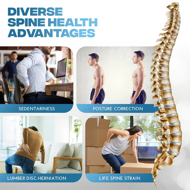Back Stretcher for Lower Back Pain Relief