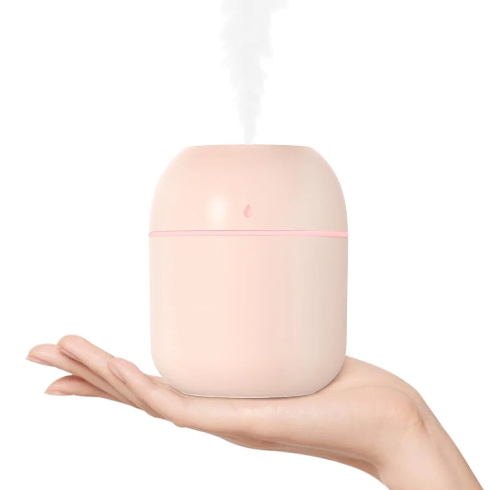 Portable Mini Desktop Humidifier 220Ml