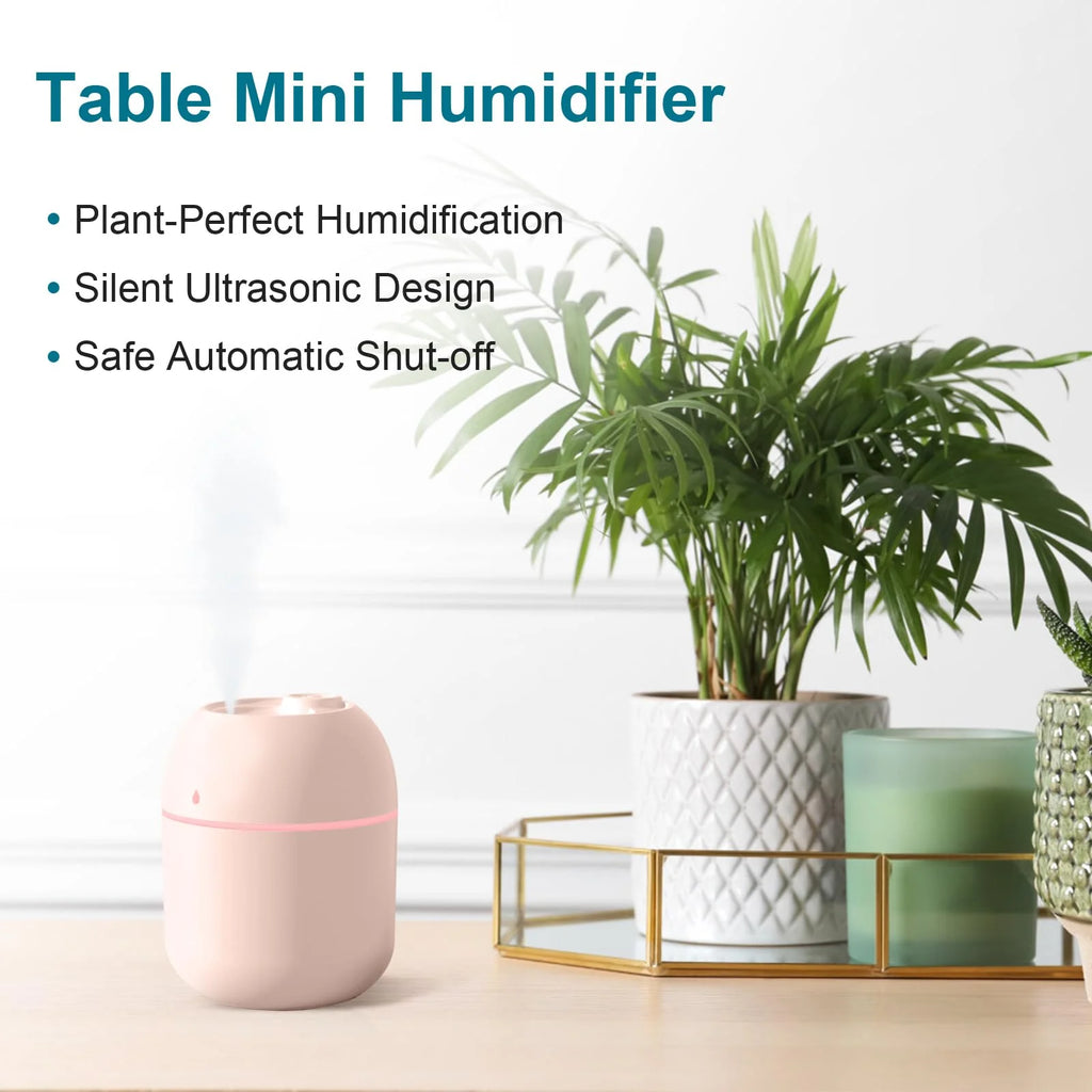 Portable Mini Desktop Humidifier 220Ml